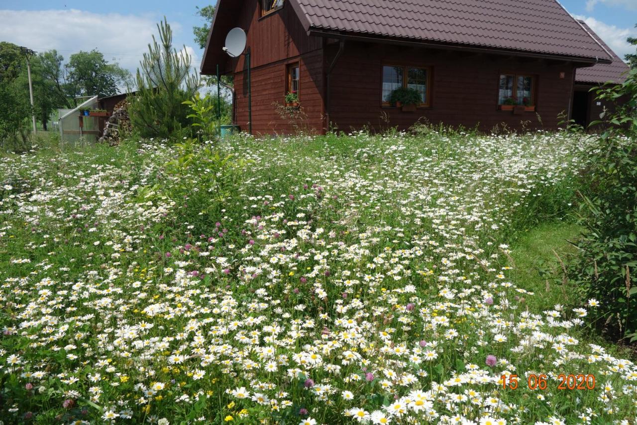 Apartament Apik U Milusky